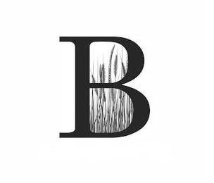 B logo