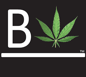 B logo