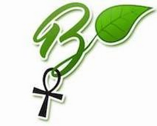 B logo