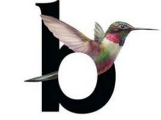 B logo