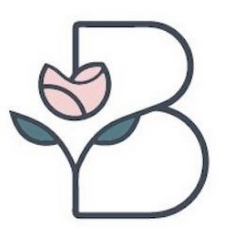 B logo
