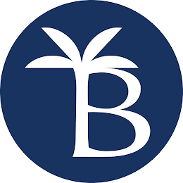 B logo