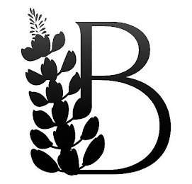 B logo