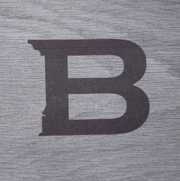 B logo
