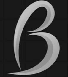 B logo