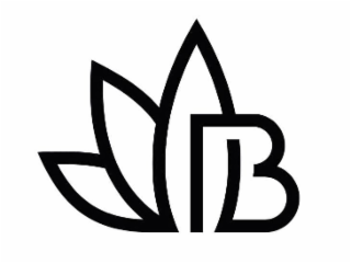 B logo