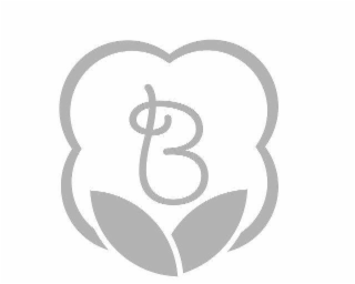 B logo
