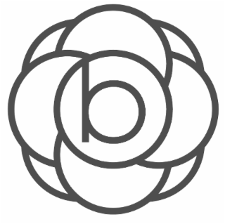 B logo