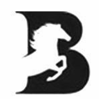 B logo