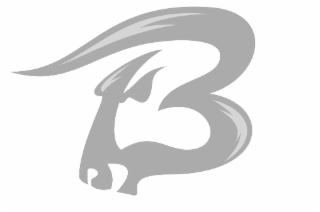 B logo