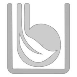 B logo
