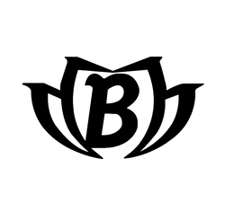 B logo