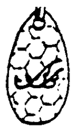 B B logo