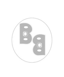 B B logo