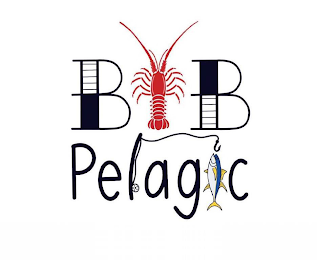 B B PELAGIC
