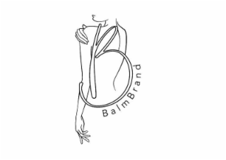 B BALMBRAND logo