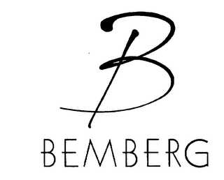 B BEMBERG logo