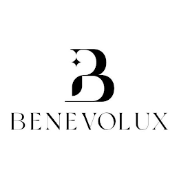 B BENEVOLUX logo