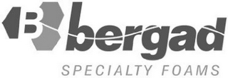 B BERGAD SPECIALTY FOAMS logo
