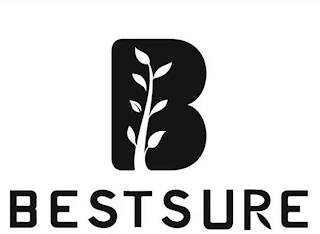 B BESTSURE logo