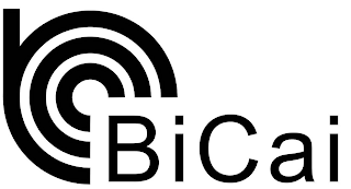 B BICAI logo