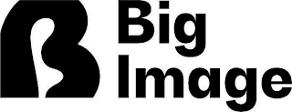B BIG IMAGE logo