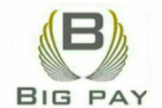 B BIG PAY logo