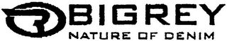 B BIGREY NATURE OF DENIM logo