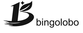 B BINGOLOBO logo