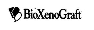 B BIOXENOGRAFT logo