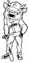 B BISONS logo