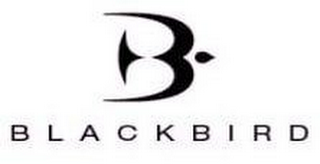 B BLACKBIRD logo