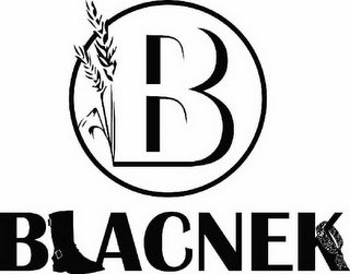 B BLACNEK logo