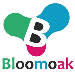 B BLOOMOAK logo