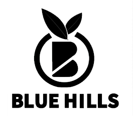 B BLUE HILLS logo