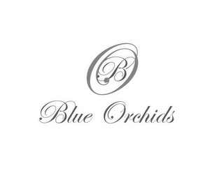 B BLUE ORCHIDS logo