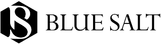 B BLUE SALT logo
