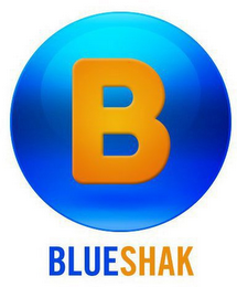 B BLUESHAK logo