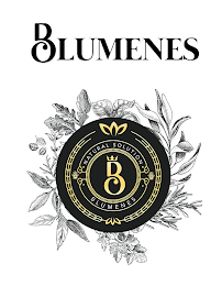 B BLUMENES NATURAL SOLUTION logo