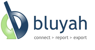 B BLUYAH CONNECT > REPORT > EXPORT logo