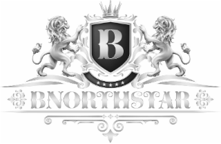 B BNORTHSTAR logo