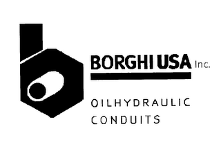 B BORGHI USA INC OILHYDRAULIC CONDUITS logo