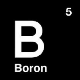 B BORON 5 logo