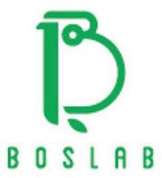 B BOS LAB logo