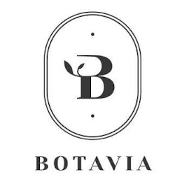 B BOTAVIA logo