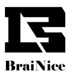 B BRAINICE logo