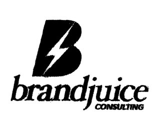 B BRANDJUICE CONSULTING logo