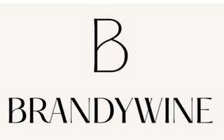 B BRANDYWINE logo