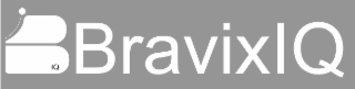 B BRAVIXIQ IQ logo