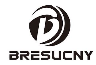 B BRESUCNY logo